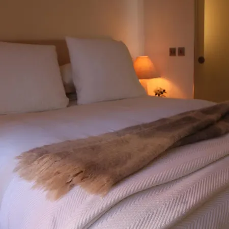 Cowper Ground Floor Apartment Dublin Extérieur photo