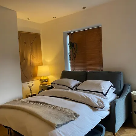 Cowper Ground Floor Apartment Dublin Extérieur photo
